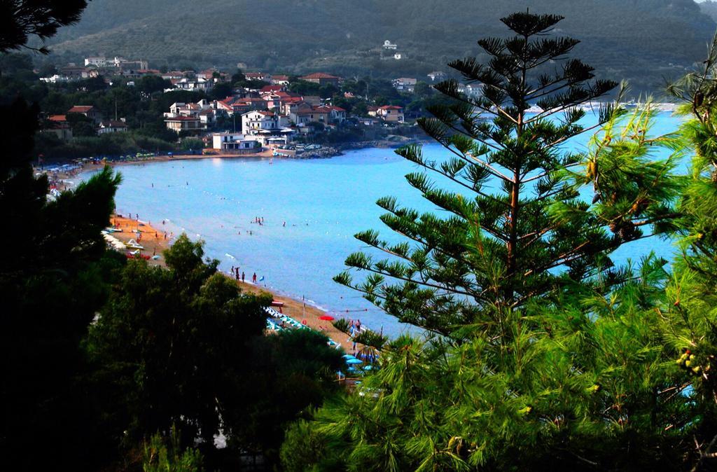 Villa Laura Sea View Apartments サンタ・マリア・ディ・カステッラバーテ エクステリア 写真